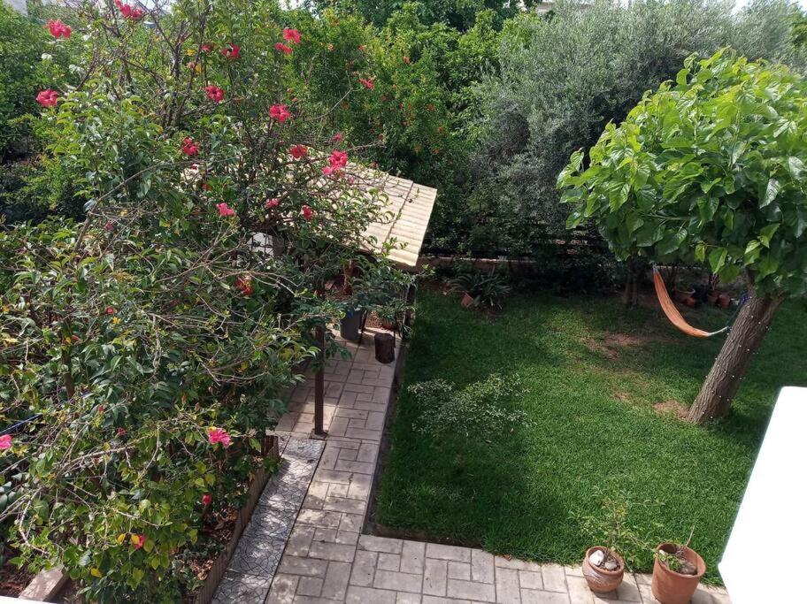 קלמאטה Eleni'S Maisonette מראה חיצוני תמונה